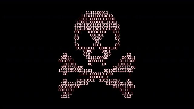 Software piracy, illegal copying, distribution, or use of software. Digital data code in form of skull and crossbones.