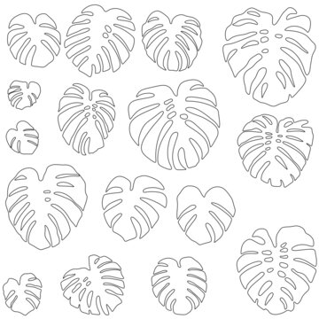 Monstera tropical plants black and white svg vector illustration for coloring