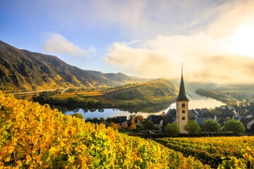 The Moselle loop, a beautiful river in Germany, makes a 180 degree loop. with vineyards and a great...