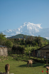 Pothana village in Nepal druing the Annapurna Sanctuary trek