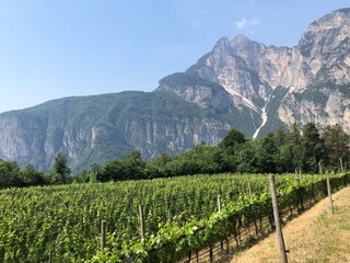 Beautiful landscape at Oberfennberg in Southtyrol 