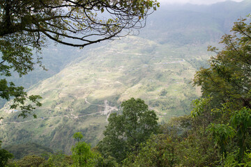Annapurna Sanctuary trek part from Pitam Deurali to Bamboo.