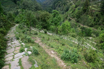 Annapurna Sanctuary trek part from Pitam Deurali to Bamboo.