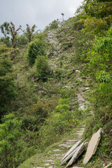 Obraz premium Annapurna Sanctuary trek part from Pitam Deurali to Bamboo.