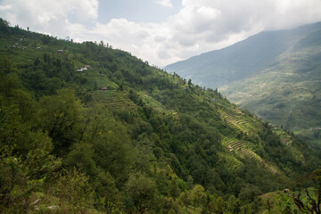 Fototapeta na wymiar Annapurna Sanctuary trek part from Pitam Deurali to Bamboo.