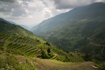 Fototapeta premium Annapurna Sanctuary trek part from Pitam Deurali to Bamboo.