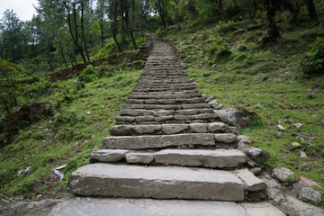 Annapurna Sanctuary trek part from Pitam Deurali to Bamboo.