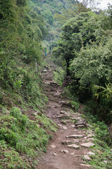 Annapurna Sanctuary trek part from Pitam Deurali to Bamboo.