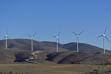 Blue sky over the field with rows of wind turbines on a sunny day in Chile