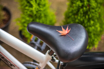 落ち葉と自転車のサドル　秋のイメージ