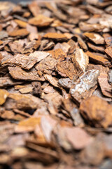 ウッドチップの画像素材