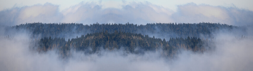 Amazing mystical rising fog forest trees landscape view in black forest ( Schwarzwald ) Germany panorama banner .- dark mood.
