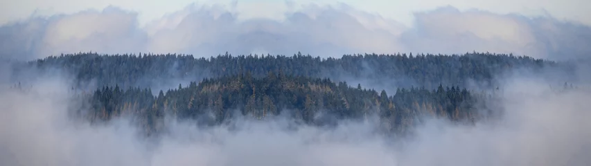 Papier Peint photo Forêt dans le brouillard Incroyable vue de paysage d& 39 arbres de forêt de brouillard mystique levant dans la forêt noire (Schwarzwald) Allemagne bannière panoramique .- humeur sombre.