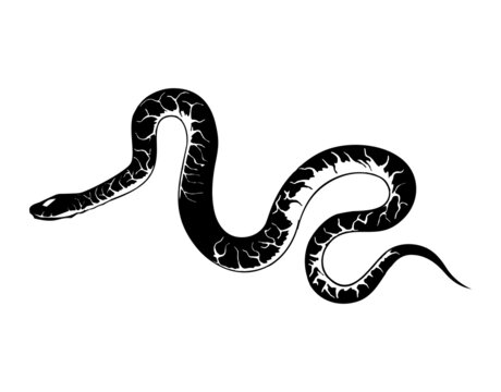 snake vector image in black color