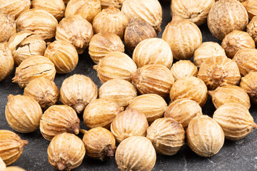 macro of true edible spices and seeds: Details of  coriander seeds ( Coriandrum sativum ) complete image sharp with photo stacking