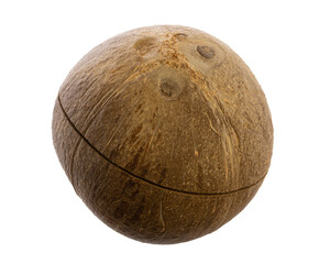 real edible food and drink: side view of whole precutted coconut isolated on white background