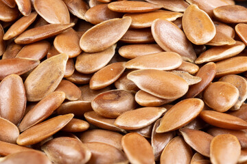 macro of true edible spices and seeds: Details of flex / linseed (Linum usitatissimum) complete sharp image through photo stacking