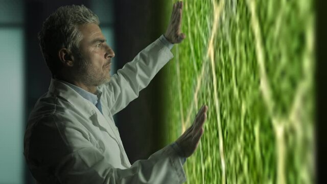 environmental scientist botanist search climate change solution using plant,ecological expert biologist analyze biochemestry of plants at the microscope to combat global warming