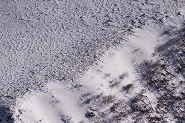 Alps - Snowy slope and coniferous trees