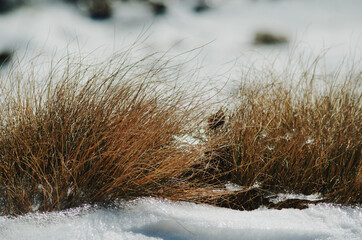 Wintertime 