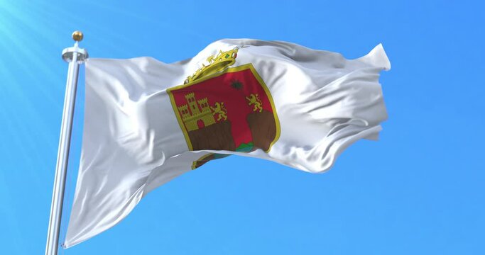 Chiapas Flag, Mexico. Loop