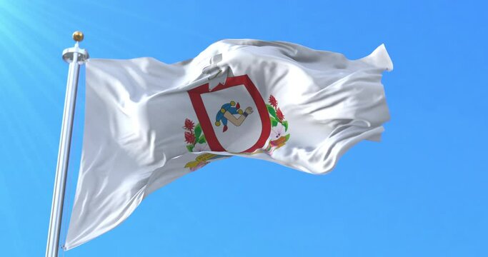 Colima Flag, Mexico. Loop
