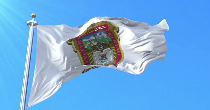 Flag of State of Mexico, Mexico. Loop