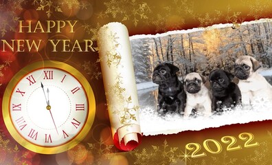 Happy New Year With Cute Pugs, Clock And Golden Snow