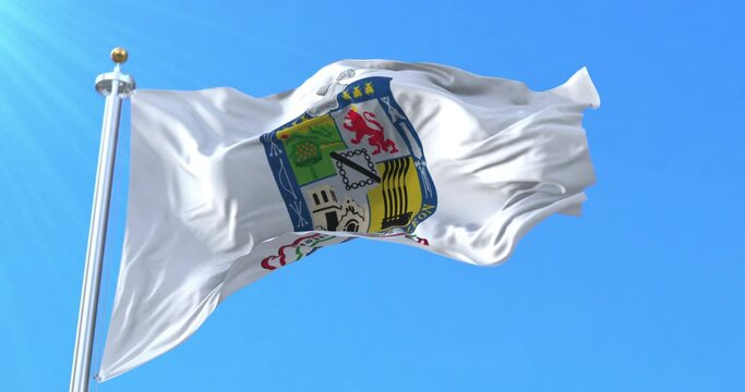 Nuevo Leon Flag, Mexico. Loop
