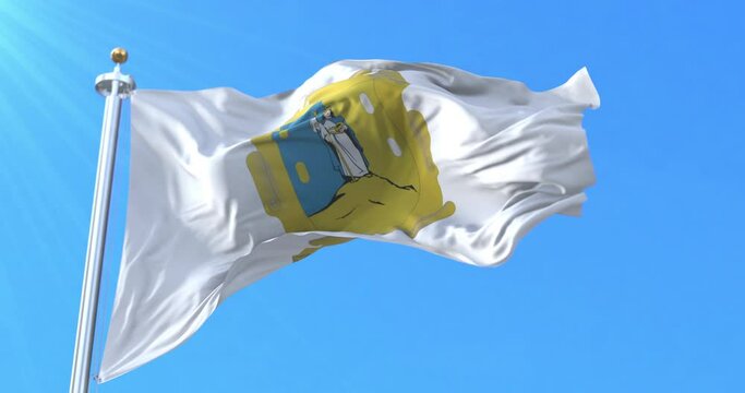 San Luis Potosi Flag, Mexico. Loop
