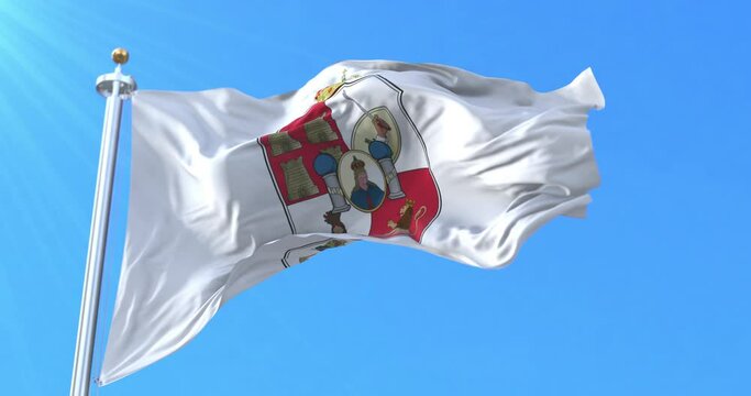 Tabasco Flag, Mexico. Loop
