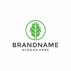 Oak nature leaf logo vector