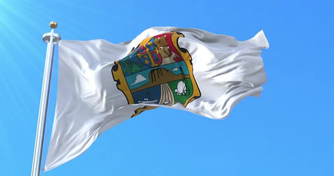 Tamaulipas Flag, Mexico. Loop
