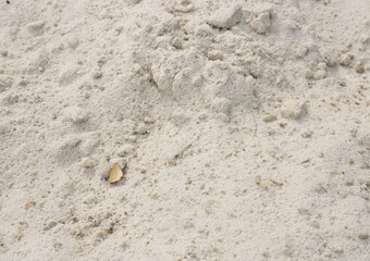 white sand on which lies yellow fallen leaf from tree. autumn concept in resort locations by the sea, best time for vacations