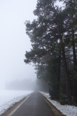 Landschaft im Nebel