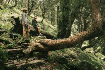 Wide shot of a young man in a mountainous forest setting looking up at the skyline, Khaliya Top, Munsiyari, Uttarakhand, India