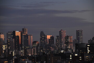 Fototapeta na wymiar 夕暮れの新宿のビル群