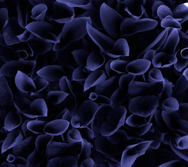 Green leaves. Nature background. Color of the year very peri