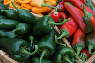 Poblano Peppers with Asian Red Peppers and Yellow Chili Peppers