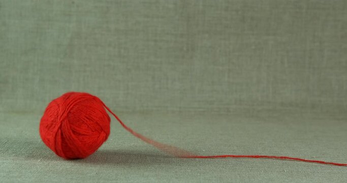 Yarn ball rolling. A view of red yarn ball rolling on the table in the house.