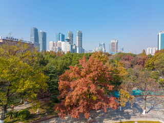 Obraz premium Wuhan Zhongshan Park late autumn aerial scenery in Hubei, China 
