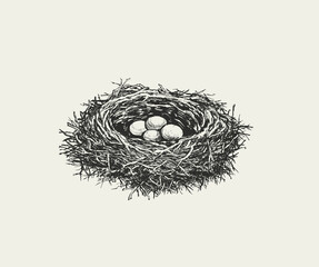 Birds Nest with Eggs Hand Drawn Vector Illustration
