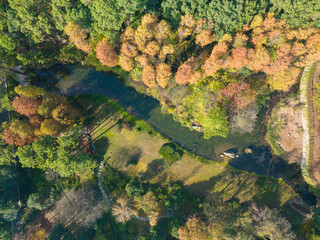 Autumn scenery in Wuhan Botanical Garden, Hubei, China