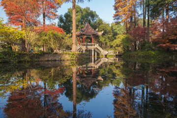 Fototapeta na wymiar Autumn scenery in Wuhan Botanical Garden, Hubei, China
