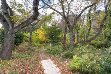 百合丘第３公園（神奈川県川崎市麻生区百合丘）