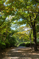 万福寺檜山公園（神奈川県川崎市麻生区万福寺）