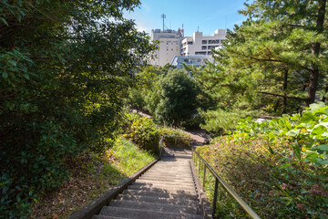 万福寺檜山公園（神奈川県川崎市麻生区万福寺）