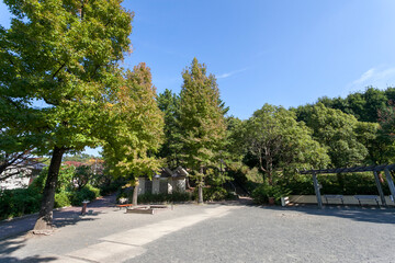 万福寺檜山公園（神奈川県川崎市麻生区万福寺）