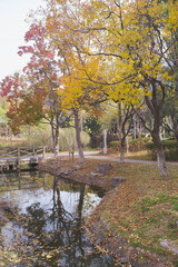 Autumn scenery of Yuehu Park in Wuhan, Hubei, China