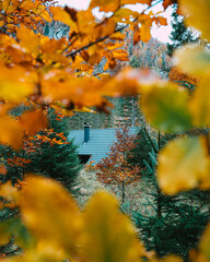 Almtal im Herbst Oberösterreich